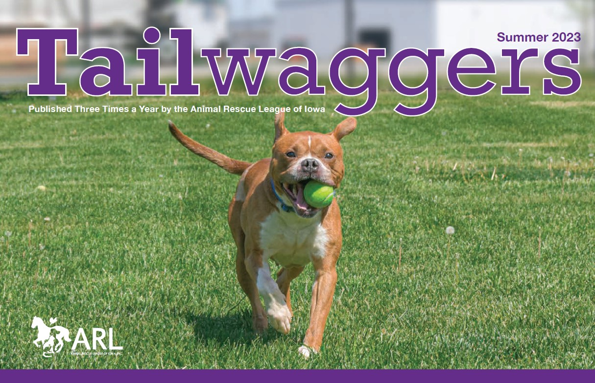 Tailwaggers Summer 2023