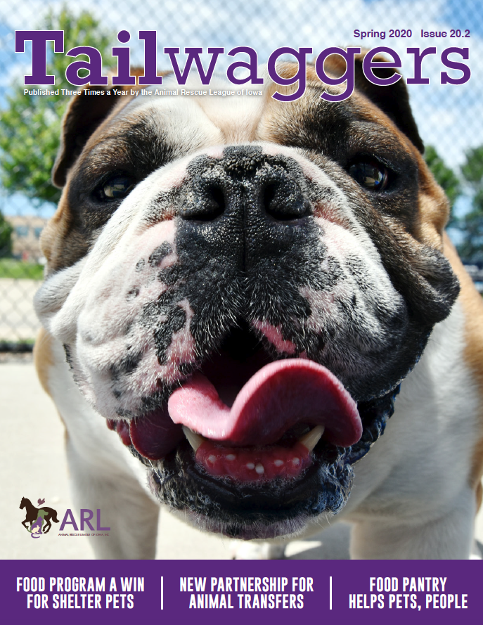 Tailwaggers Animal Rescue League of Iowa