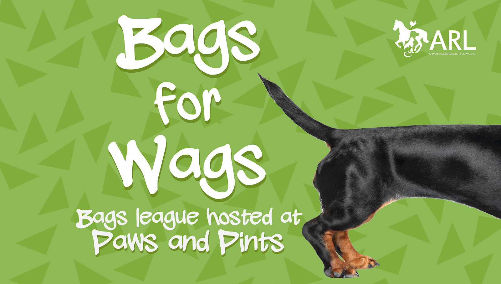 Bags for Wags 