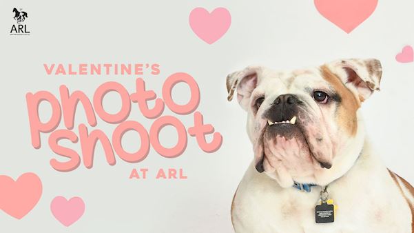 Valentine's Photoshoot