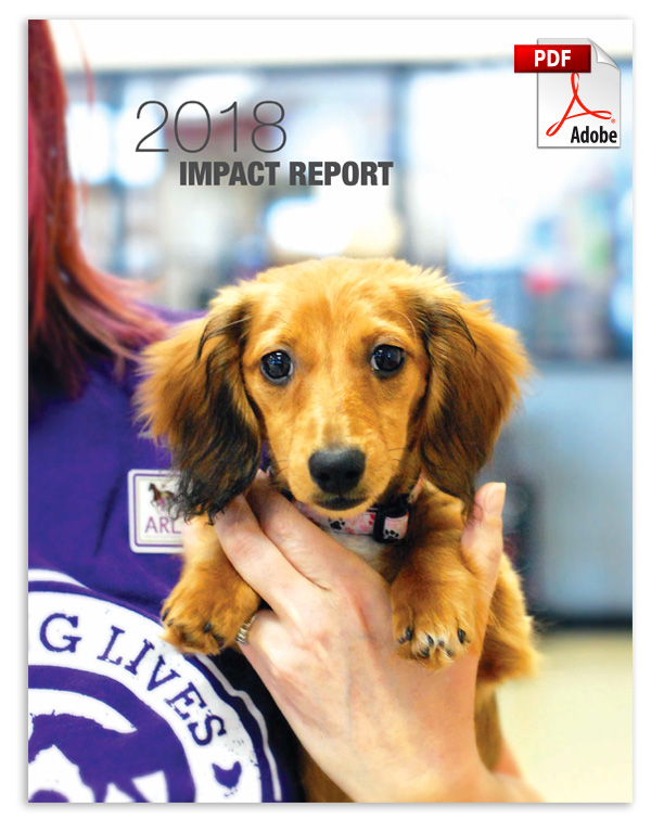 ARL 2018 Impact Report