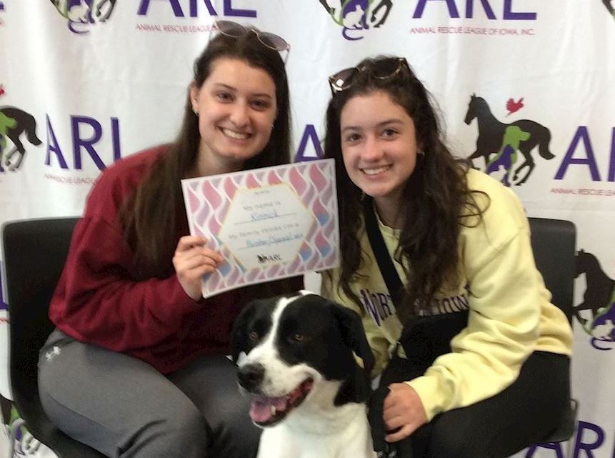 Dog DNA Day