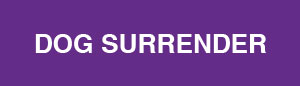 Dog Surrender form