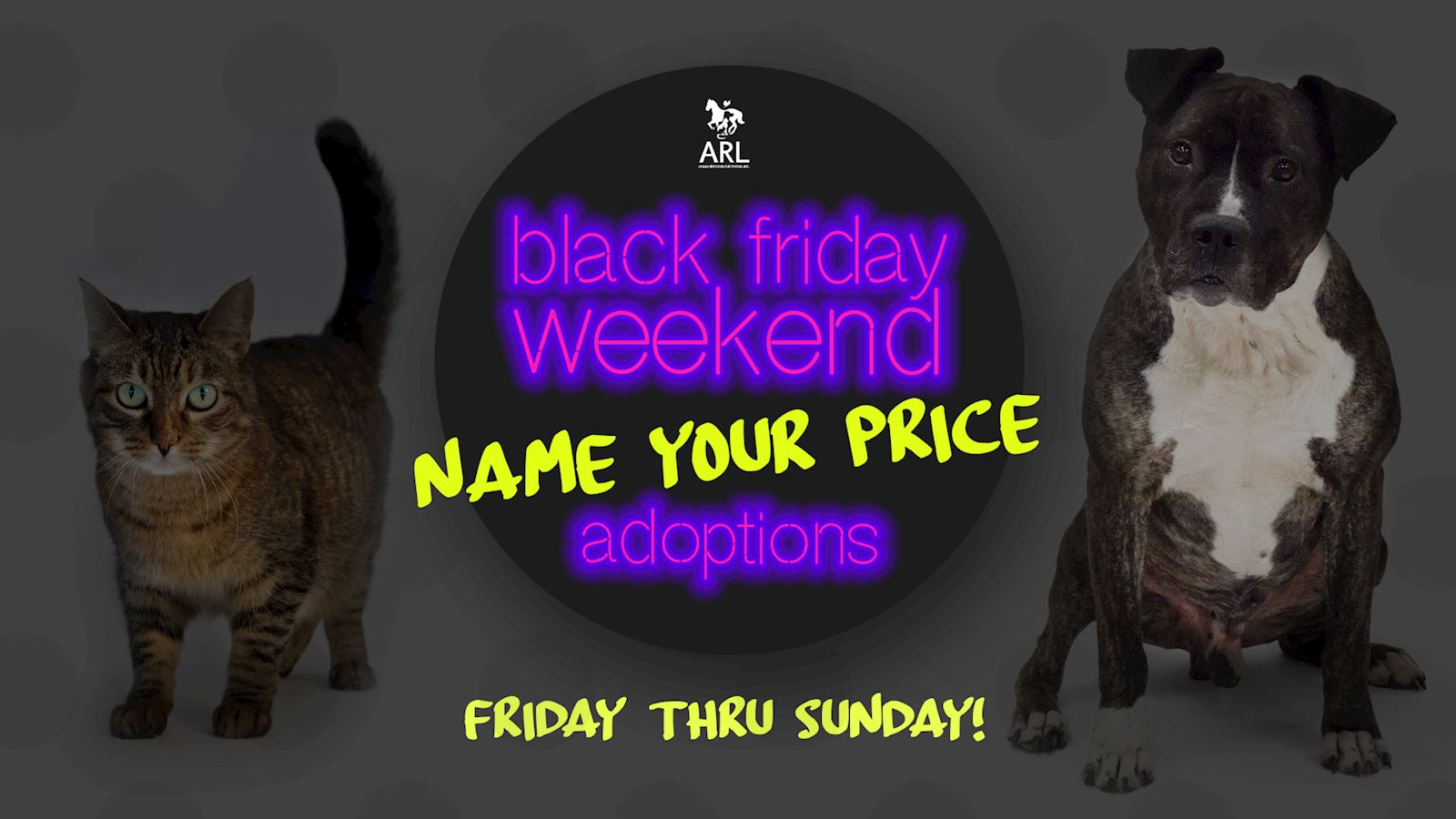 Black Friday Name Your Price Adoption Event