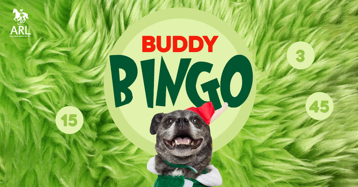 Buddy Bingo