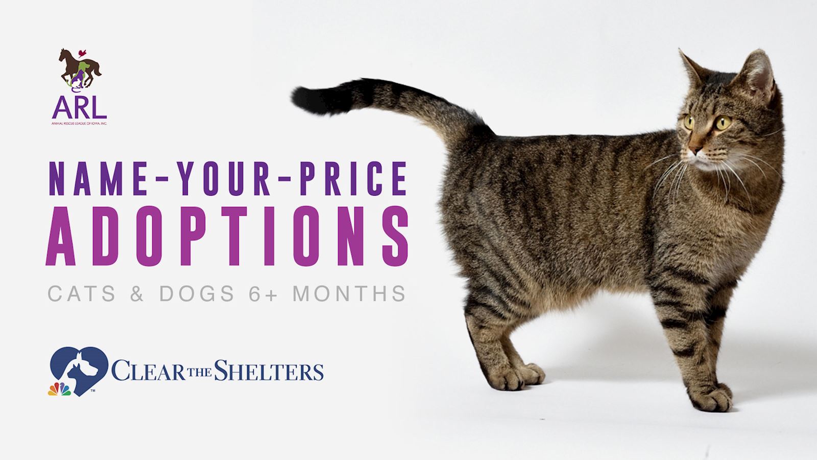 Clear the Shelters Name Your Price Adoptions