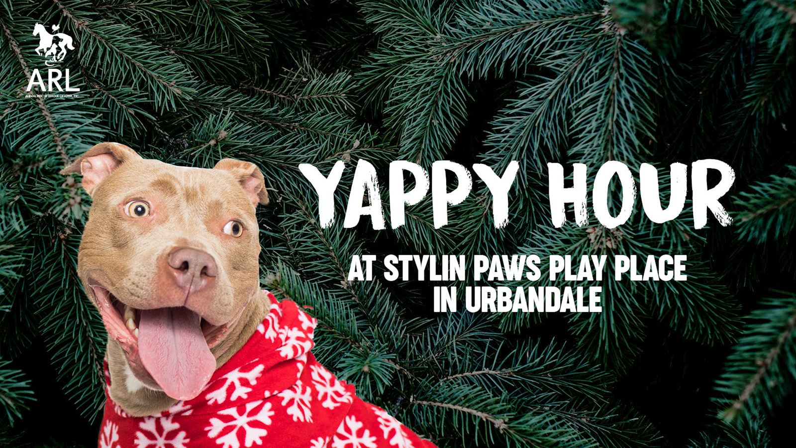 Yappy Hour