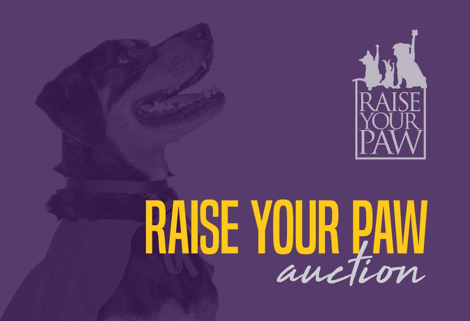 Raise Your Paw Auction