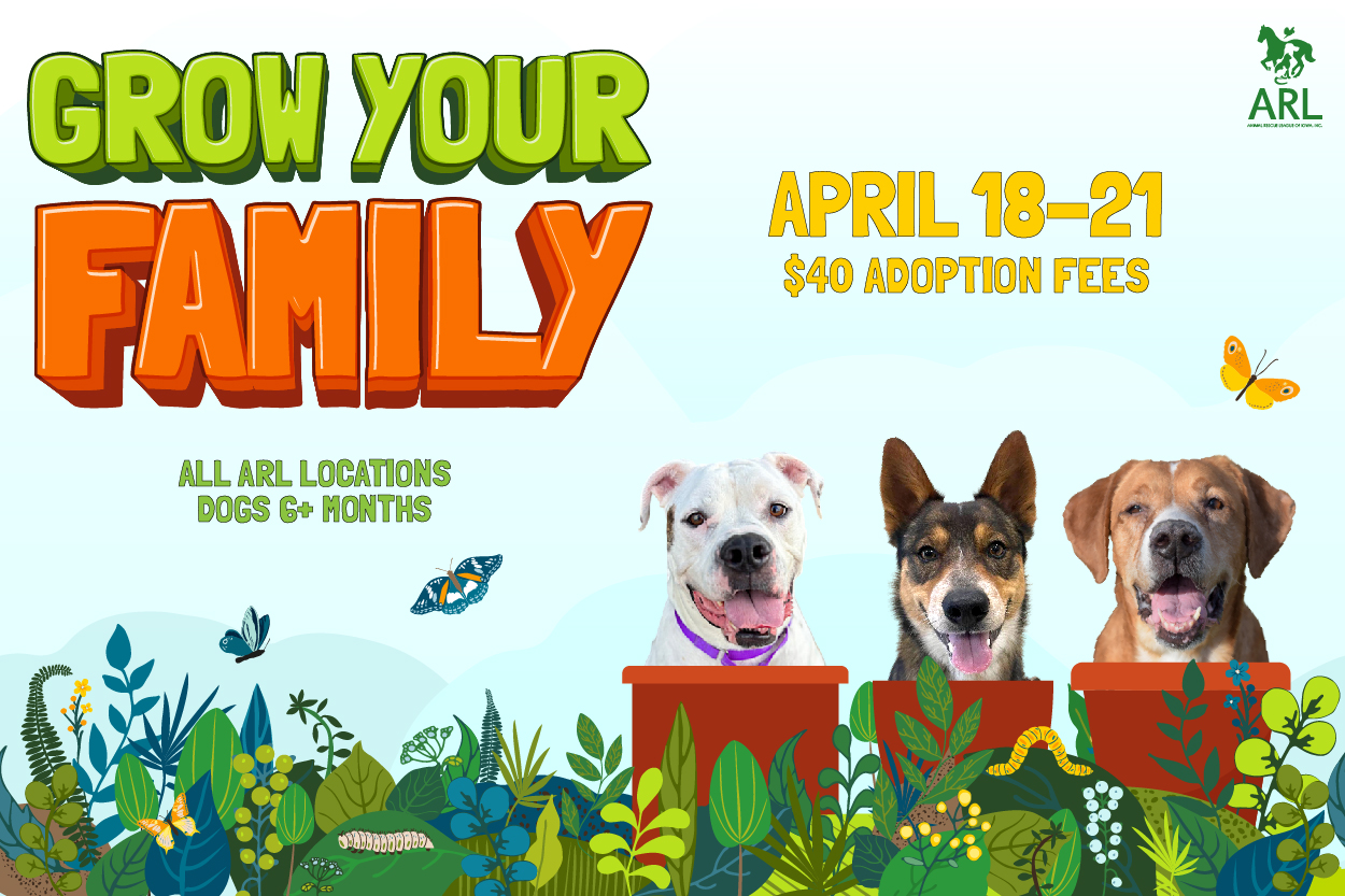 Grow your family adoption event