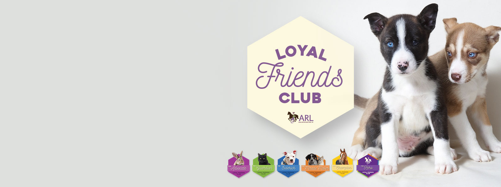 Change Lives as a Loyal Friend