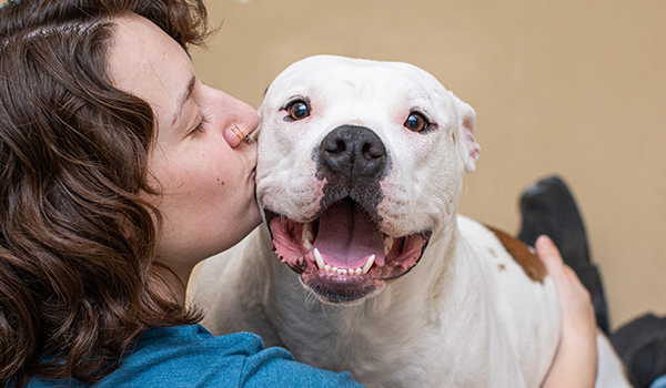Meet Your Dog Match