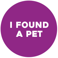 I found a lost pet