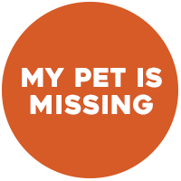 My pet is missing