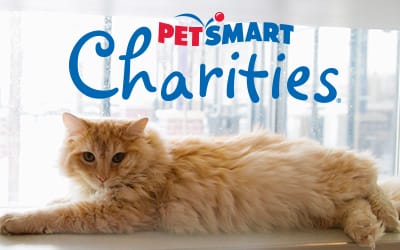 petsmart charities near me