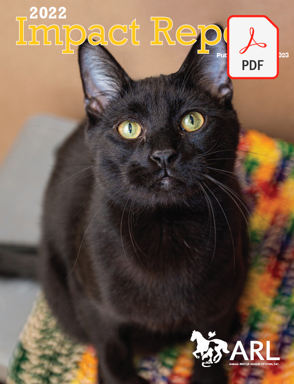 View ARL's 2022 Impact Report