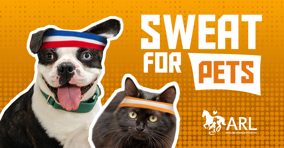 Sweat for Pets - Encore Fitness