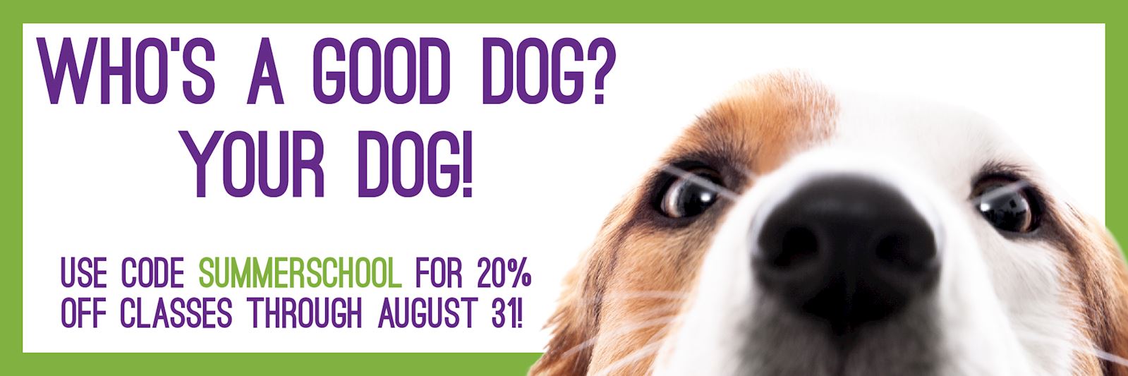 use code SUMMERSCHOOL for 20% off training classes through August 31
